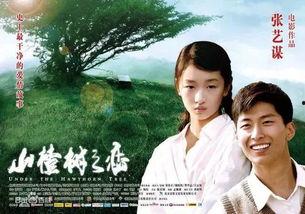 山楂树之恋电视剧,纯真年代的爱情史诗